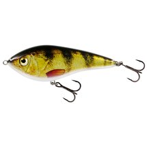 Swim Glidebait Sinking Real Roach